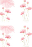花瓣