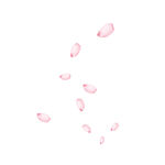 花瓣