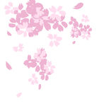 花瓣