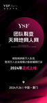 决战双十一