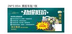 山茶油
