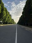 夏季绿道