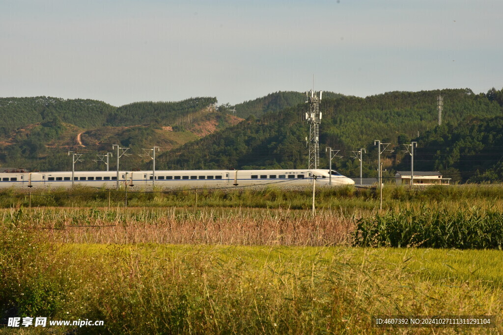 乡村田野