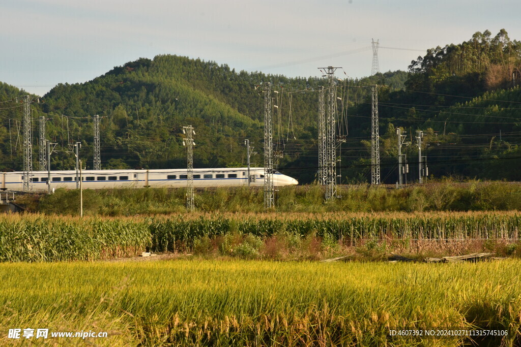 乡村田野 