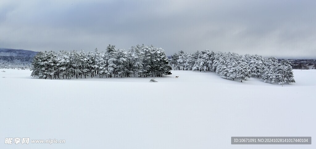 雪山雪景