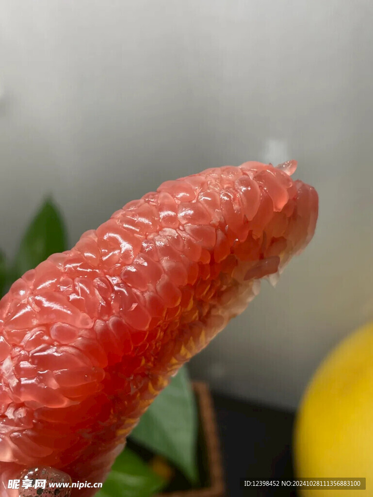 柚子