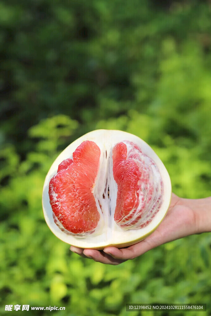 柚子