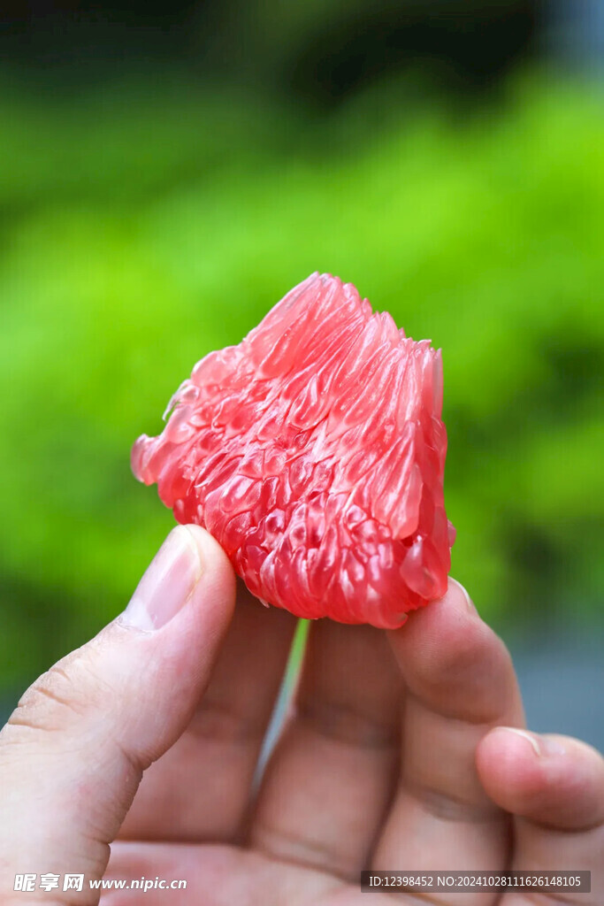 柚子