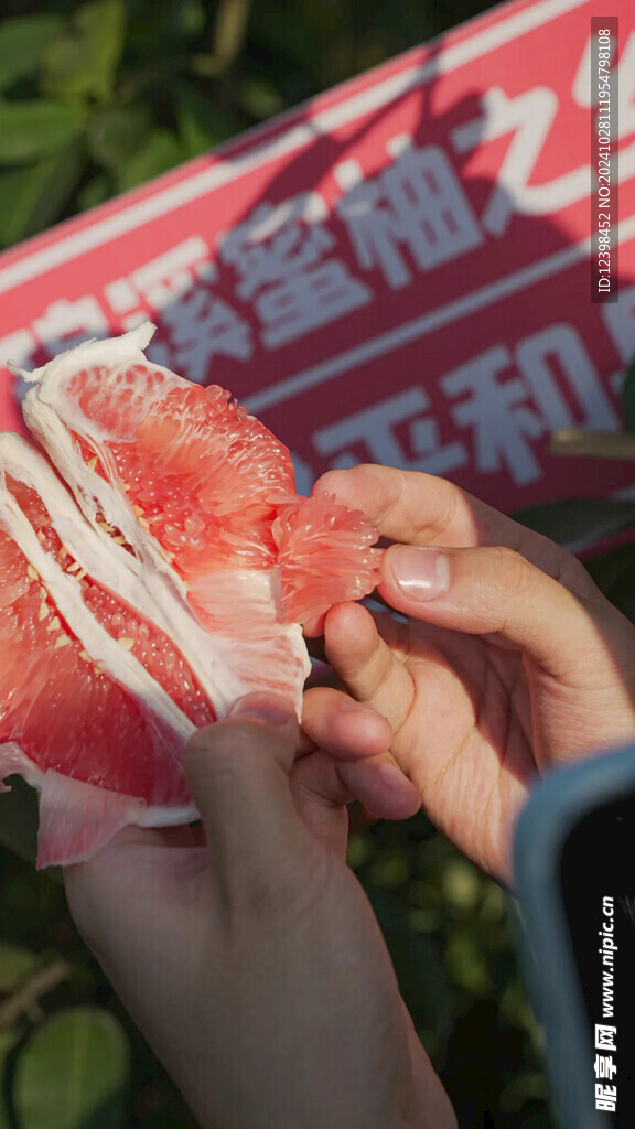 柚子