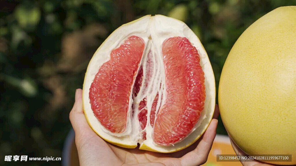 柚子