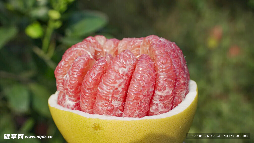 柚子