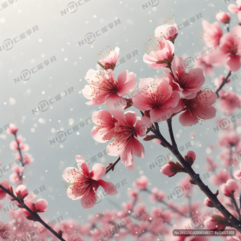 白底背景上点点桃花