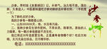 沙参不干胶
