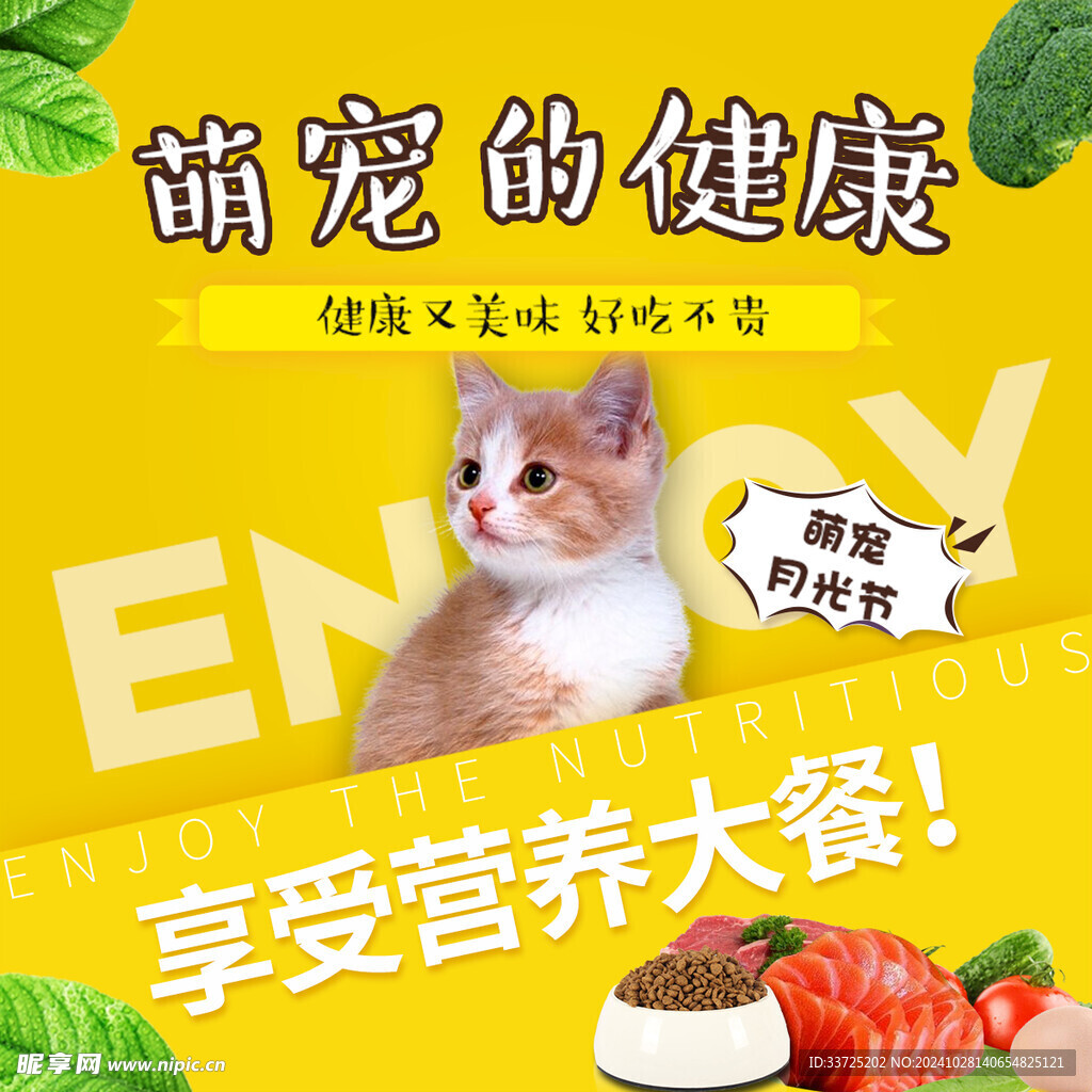 猫粮主图