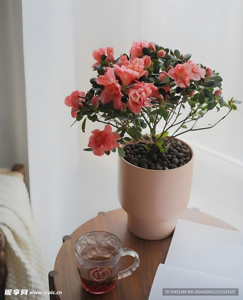 花盆