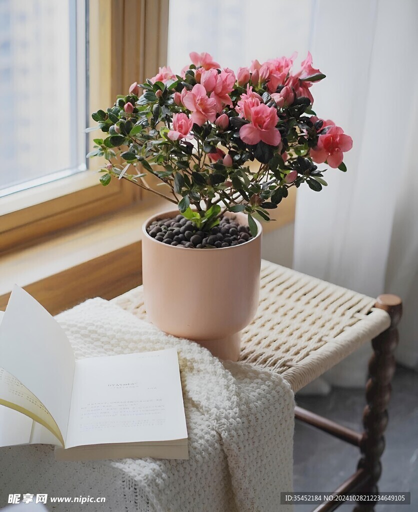 花盆