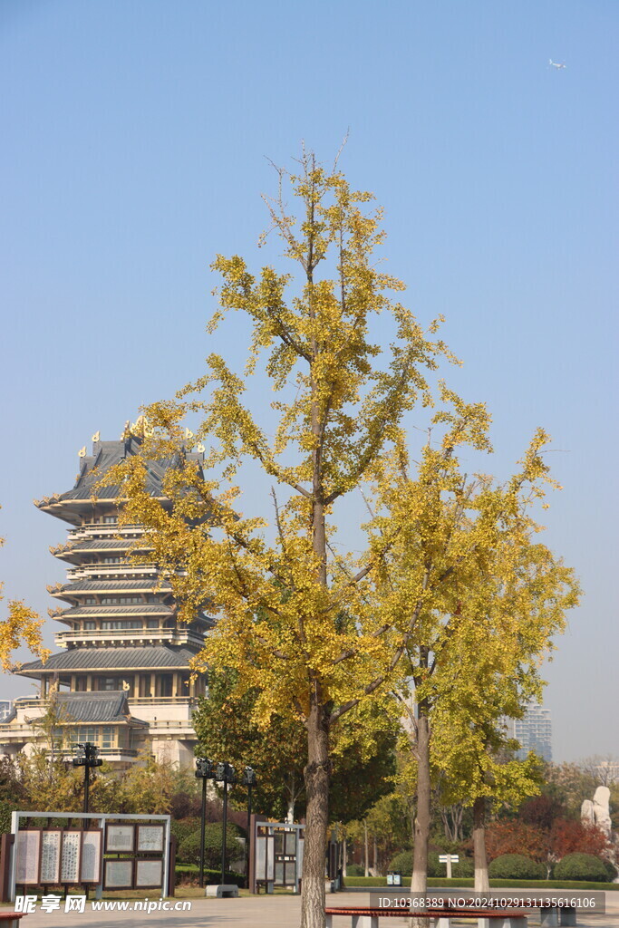 临沂书圣阁 临沂书法广场