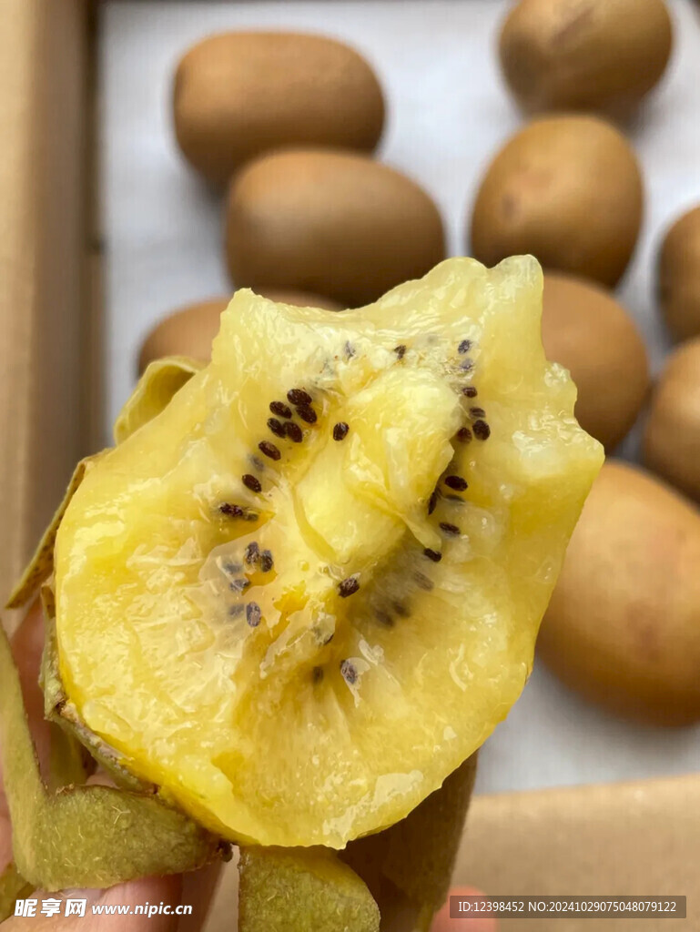 黄心猕猴桃