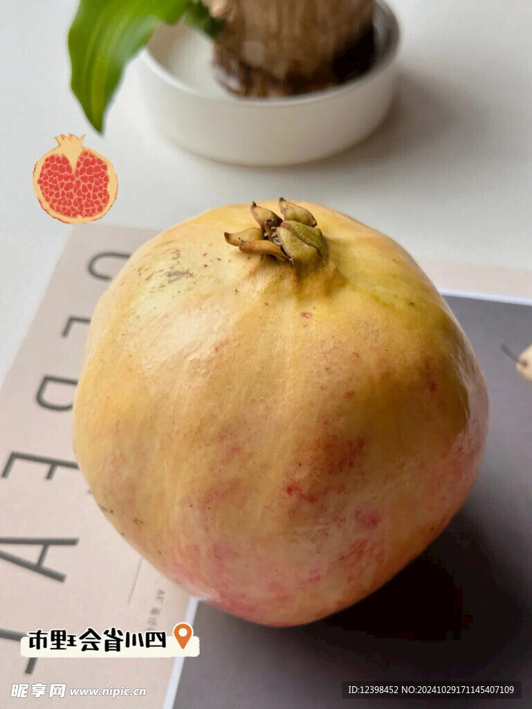 石榴