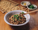黄豆菜
