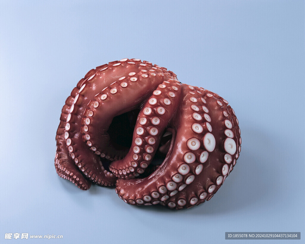 海鲜