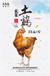 土鸡海报