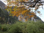 美丽九寨沟