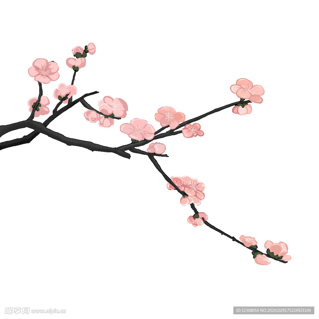 红梅