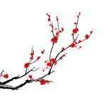 红梅