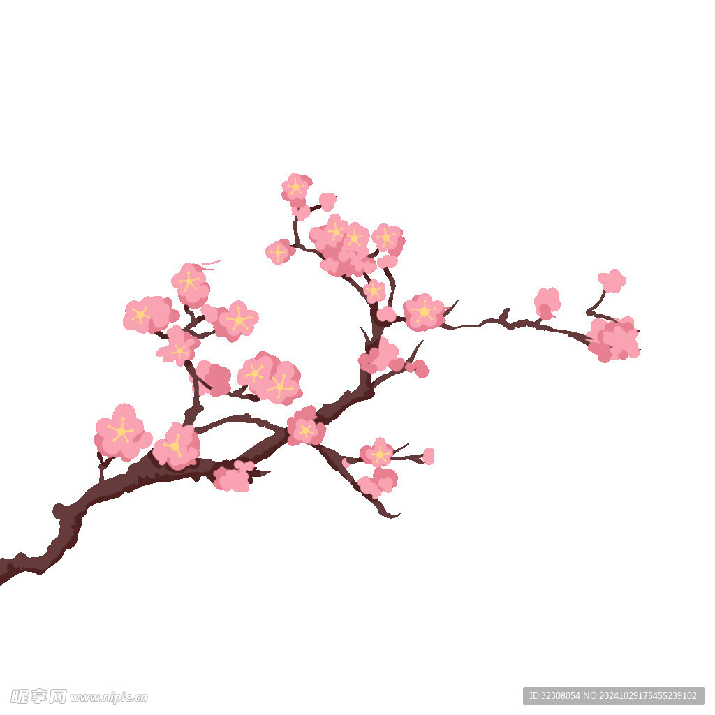 红梅