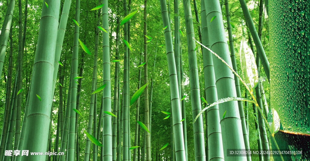 竹子
