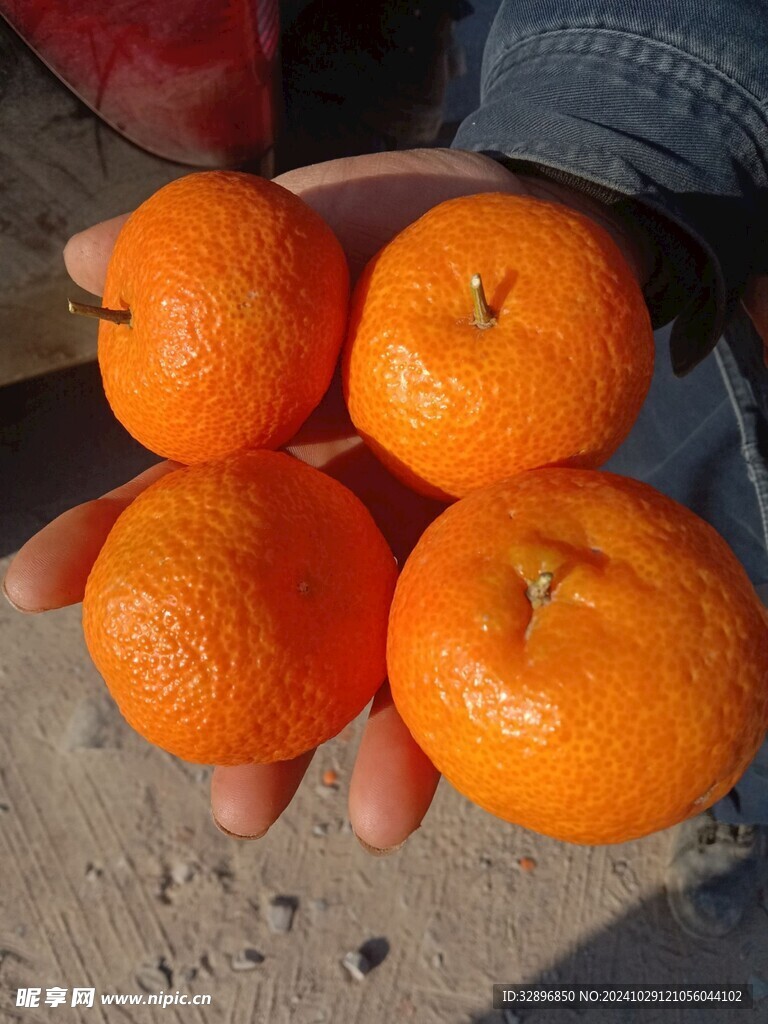 橘子
