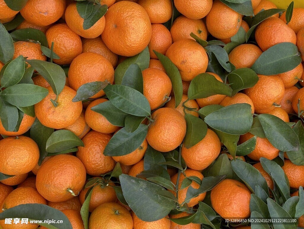 橘子