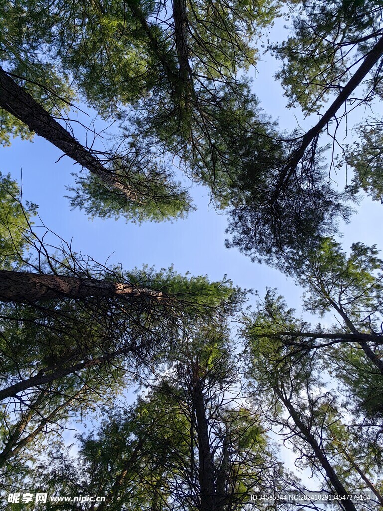 天空