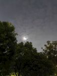 夜晚