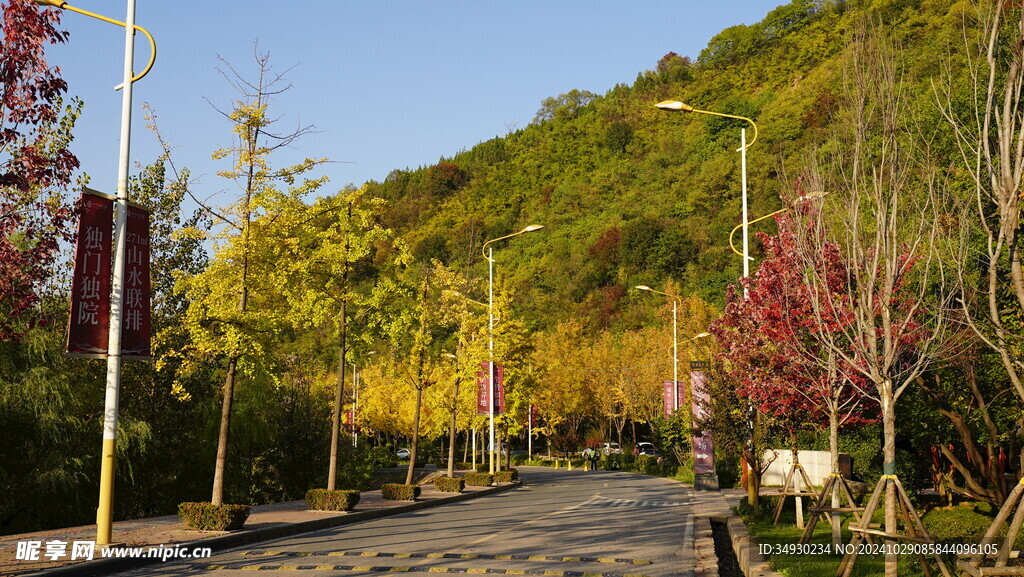 项目园林景观