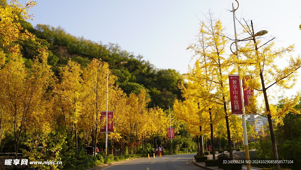 项目秋天园林景观