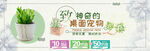 绿植BANNER