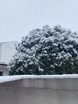 下雪