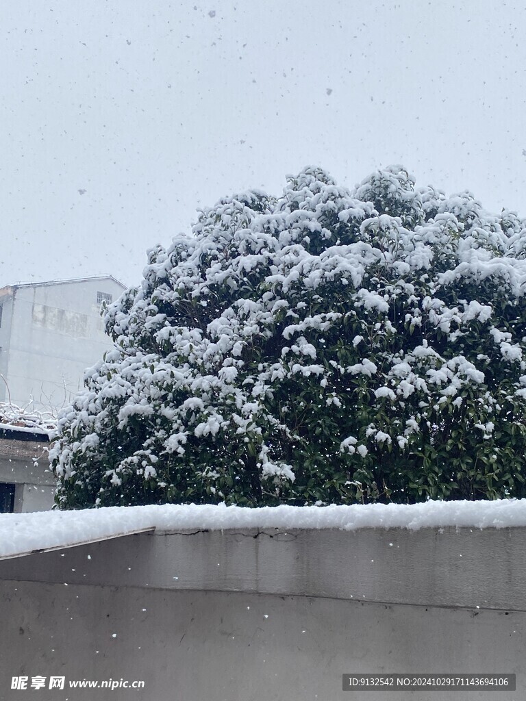 下雪