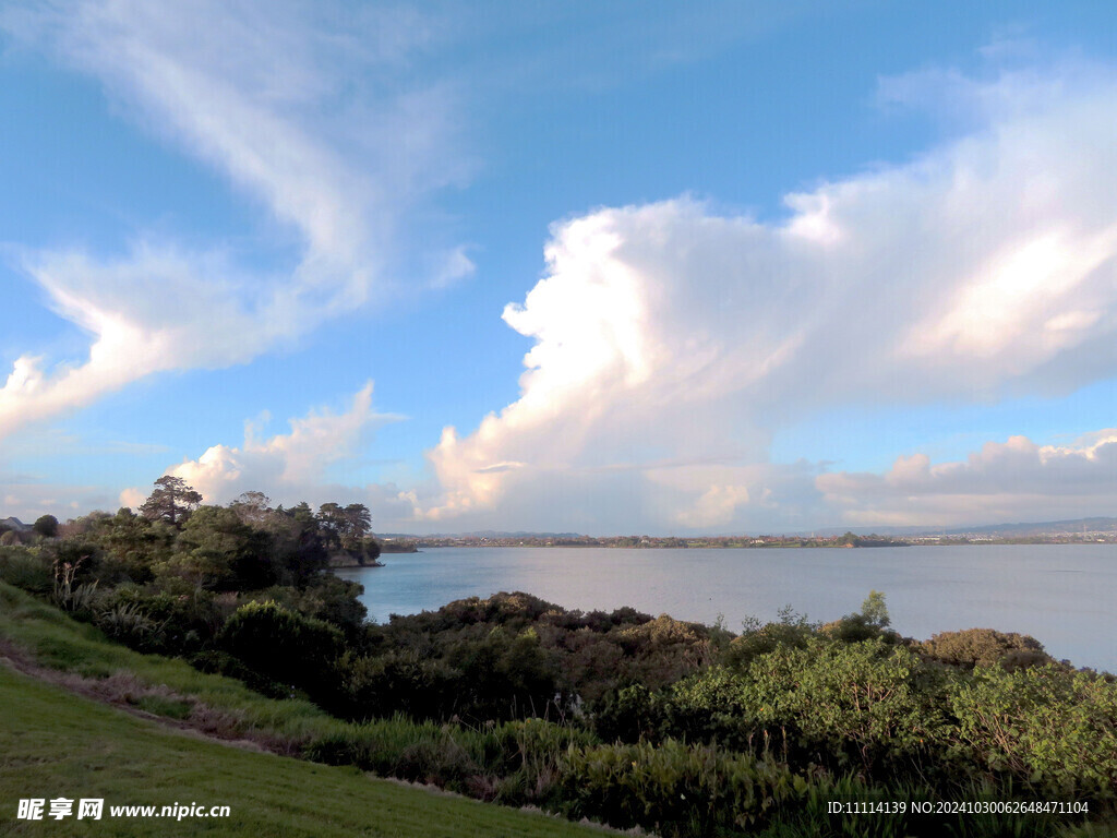 奥克兰海边晨景