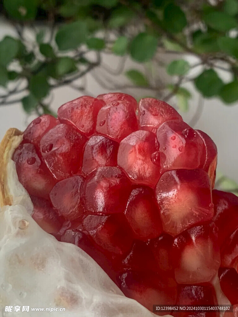 石榴