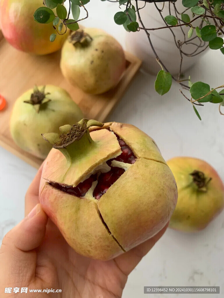 软籽石榴