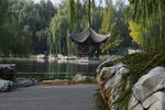 公园风景  