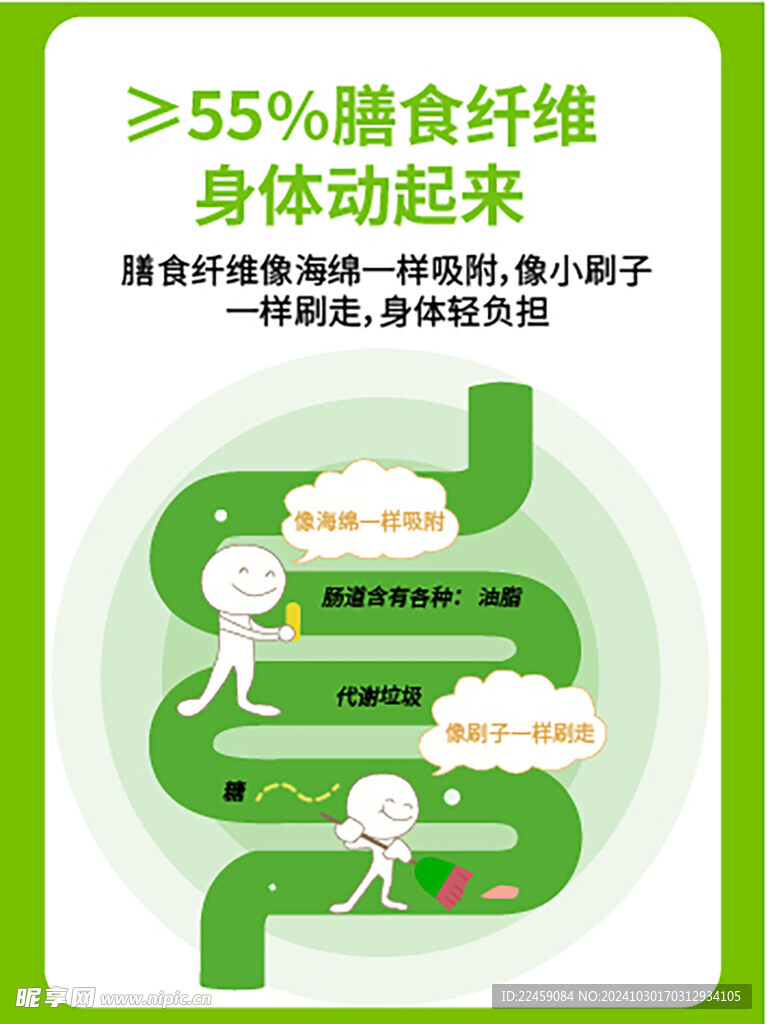 肠道图