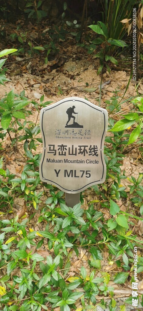 马峦山环线 远足径Y ML75