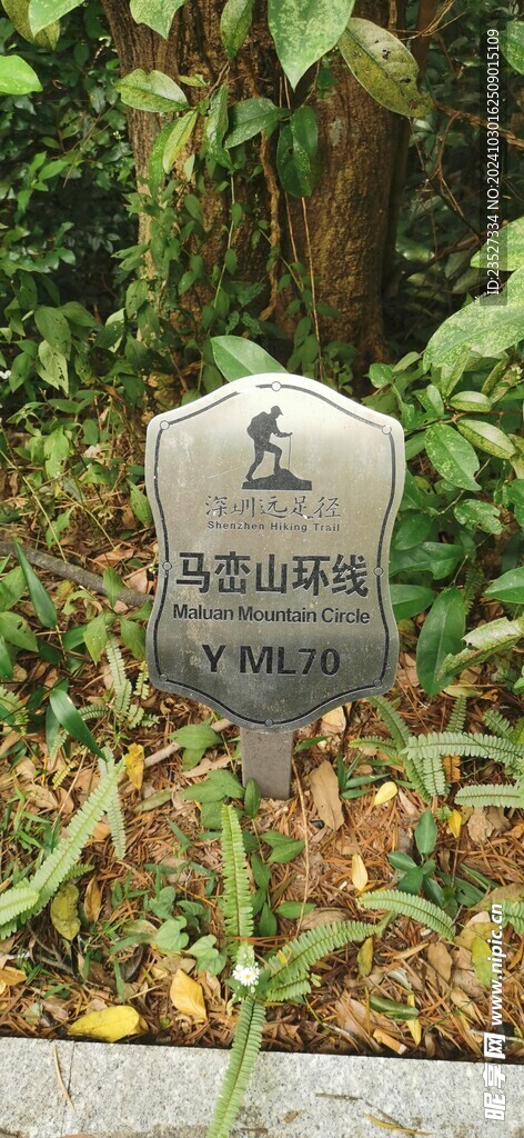 马峦山环线 远足径Y ML70