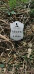 马峦山环线 远足径Y ML60