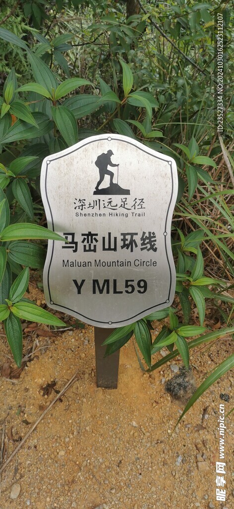 马峦山环线 远足径Y ML59