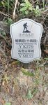 马峦山环线 远足径Y ML53